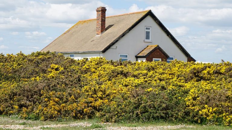 Lindum Chimney Sweeps: Trusted Chimney Sweep Services in Lincoln
