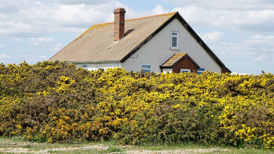 Lindum Chimney Sweeps: Trusted Chimney Sweep Services in Lincoln